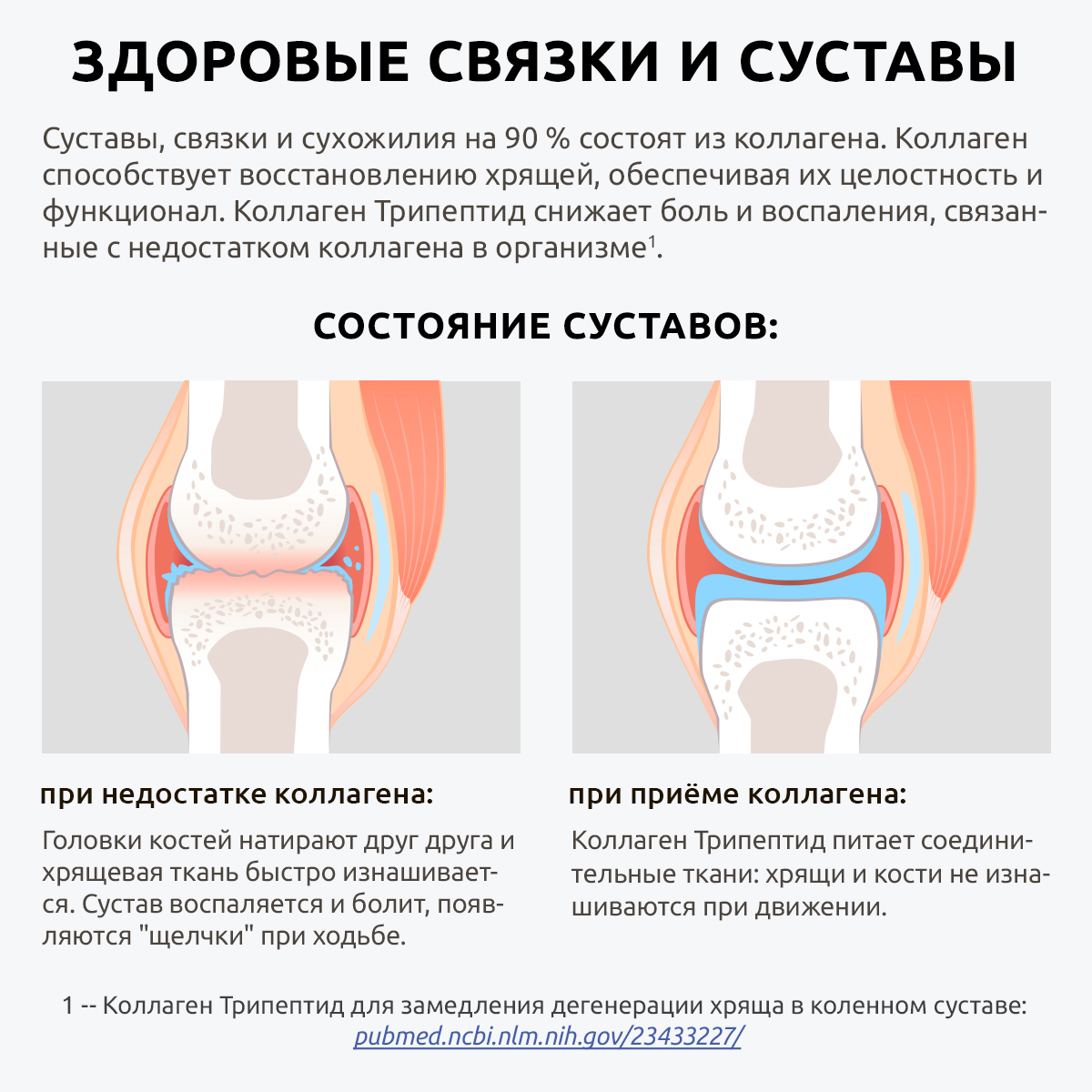 Коллаген морской UltraBalance низкомолекулярный Tripeptide БАД 360 капсул с витамином С и гиалуроновой кислотой - фото 11