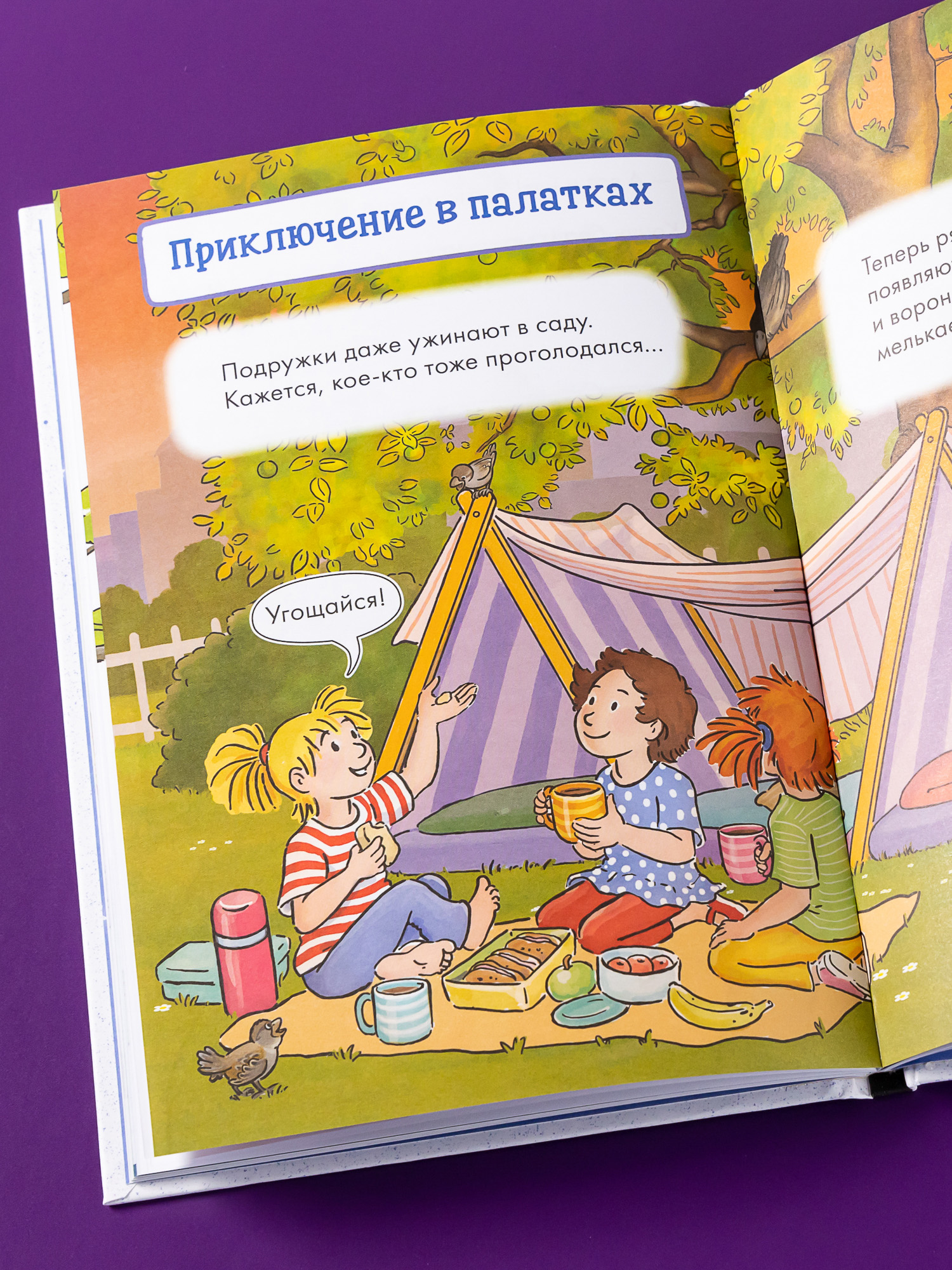 Книга Альпина. Дети Комиксы с Конни Звёзды дружбы - фото 8