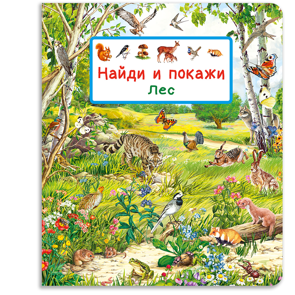 Книга Омега-Пресс Виммельбух Найди и покажи Лес - фото 1