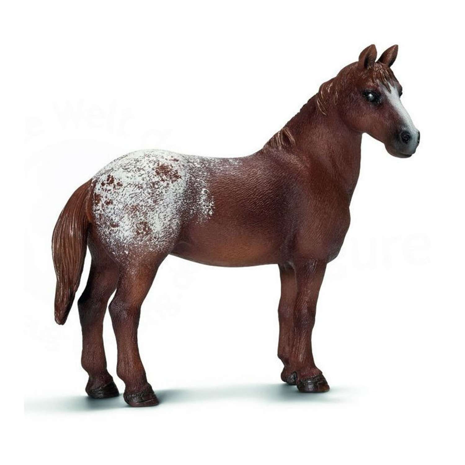 Фигурки лошадей. Жеребец Аппалуза шляйх. Schleich лошадь Аппалуза. Лошади шляйх Аппалуза кобыла. Фелл пони шляйх.