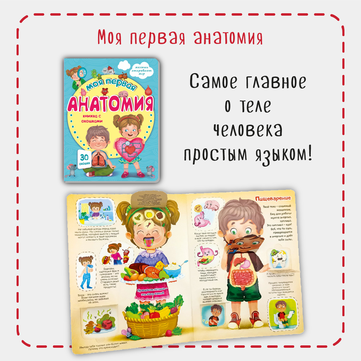 Набор книжек с окошками BimBiMon Для маленьких вундеркиндов 8 шт Виммельбух - фото 6