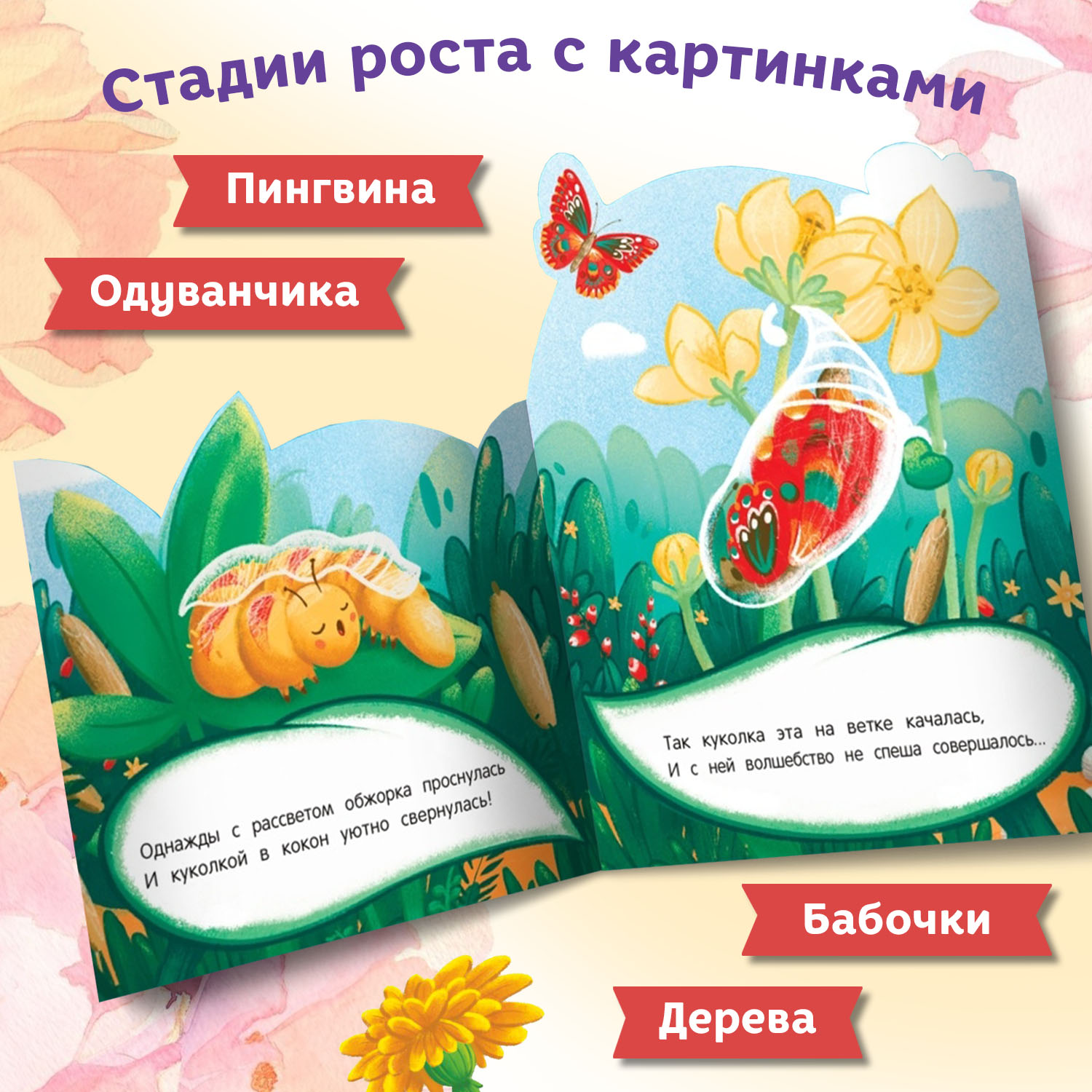 Набор из 4 книг Феникс Премьер Как растет? Книжки-гармошки - фото 2