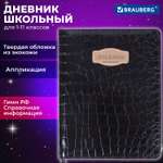 Дневник школьный Brauberg для 1-11 классов для мальчика и девочки