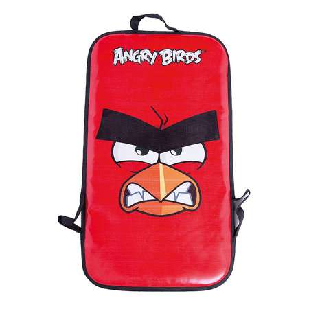 Ледянка Angry Birds 72х41см прямоугольная