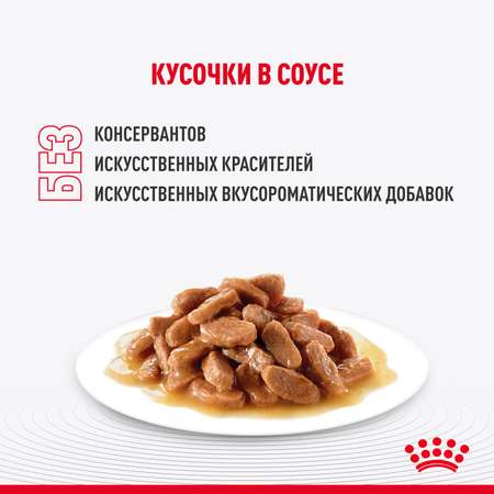 Влажный корм для кошек ROYAL CANIN кг (полнорационный)