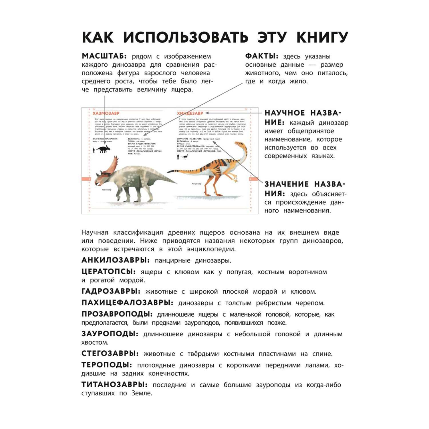 Книга Эксмо Динозавры Полный иллюстрированный словарь - фото 7