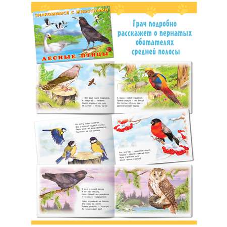 Книги Фламинго Познавательные стихи И. Гуриной для детей и малышей Знакомимся с животными 5 книг