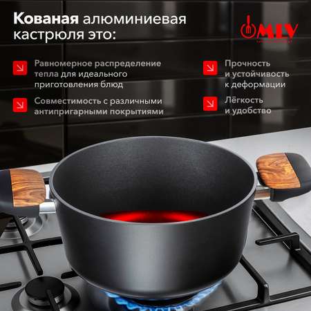 Кастрюля со стеклянной крышкой Moulin Villa Blackwood 2,7 литра