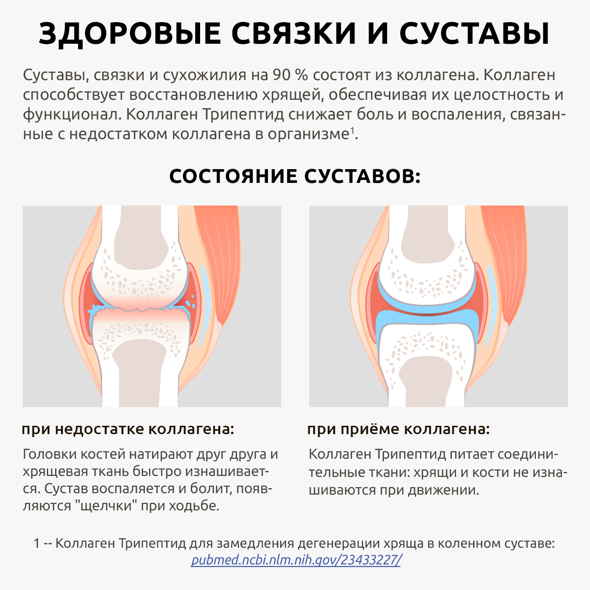 Коллаген морской порошок UltraBalance низкомолекулярный Collagen Tripeptide БАД 30саше с витамином С и гиалуроновой кислотой - фото 10