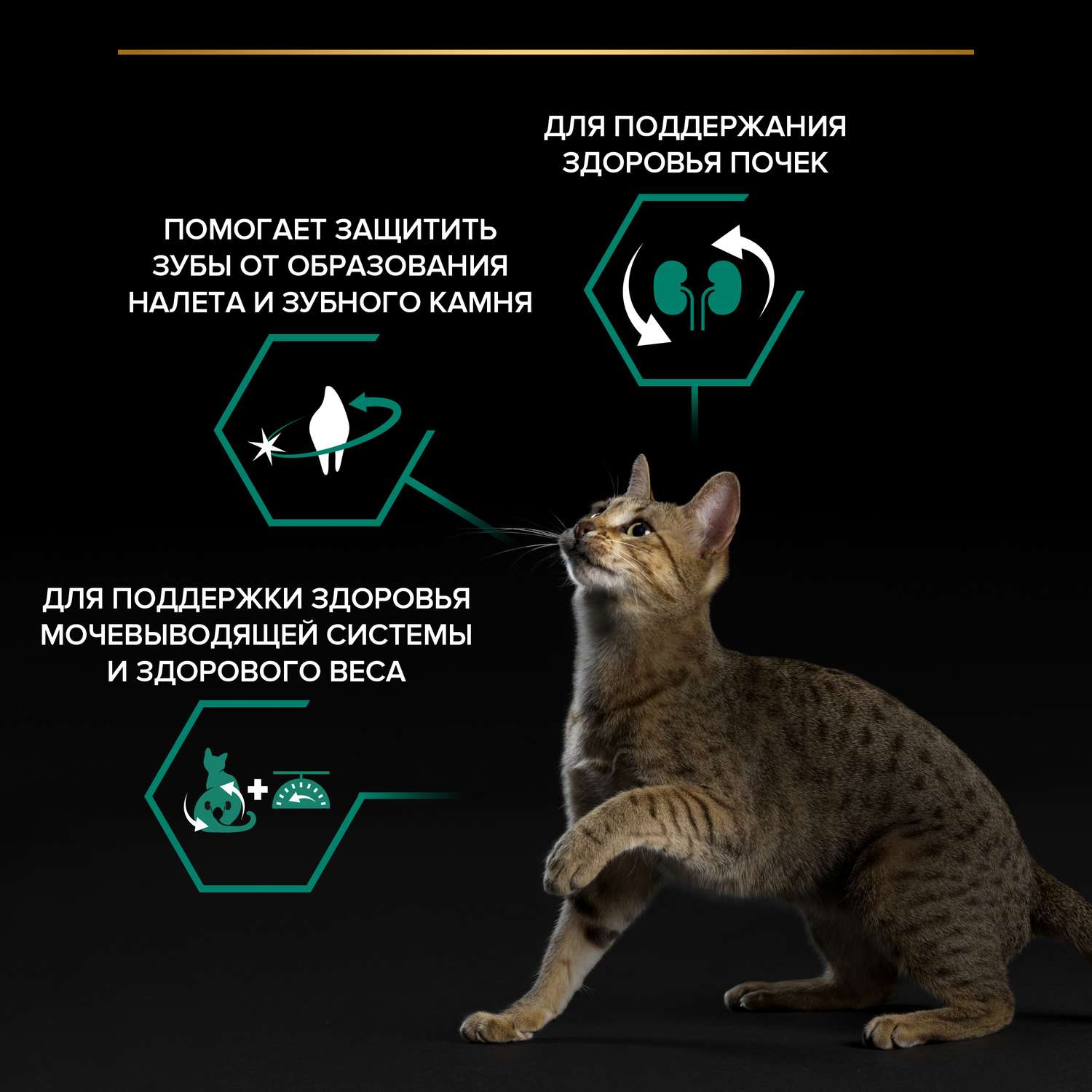 Корм сухой для кошек PRO PLAN 1.5кг с индейкой при стерилизации и кастрации - фото 5