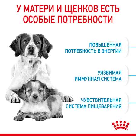 Корм для щенков беременных и кормящих Royal Canin 12кг Medium Starter средних сухой