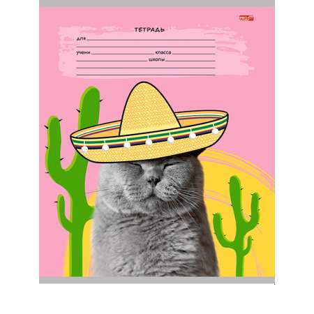 Тетрадь 18 л цветная обложка Profit Клетка креативные коты комплект 10 штук