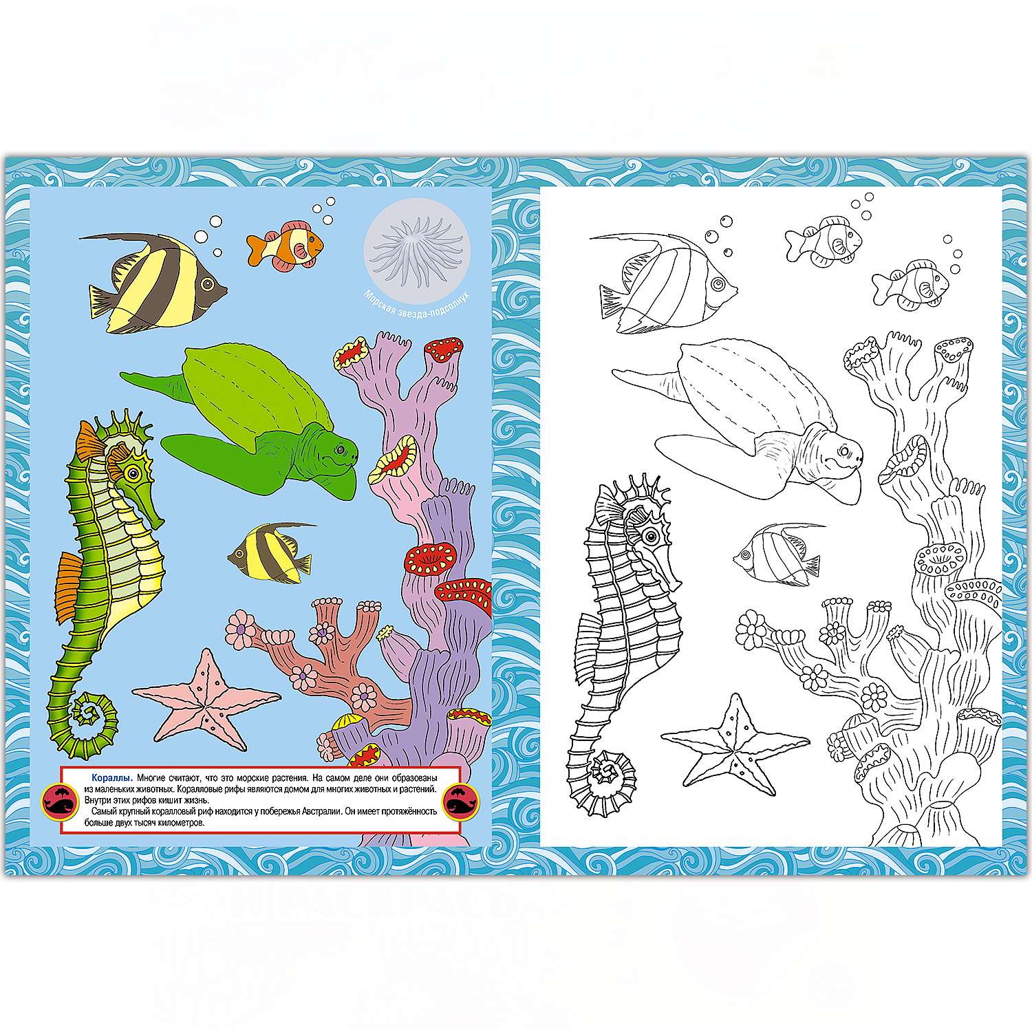 Раскраска с наклейками РУЗ Ко Морские животные - фото 2