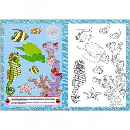 Раскраска с наклейками РУЗ Ко Морские животные