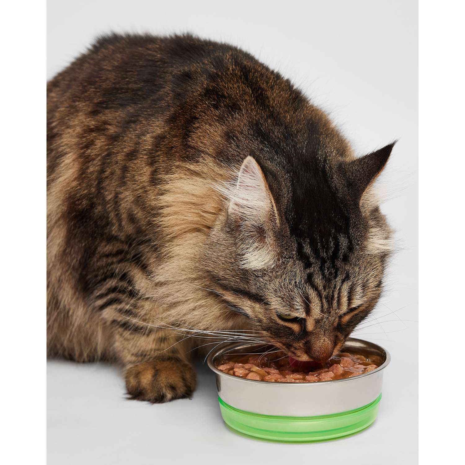 Корм для кошек Вкусная миска 85г говядина - фото 3