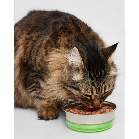 Корм для кошек Вкусная миска 85г говядина