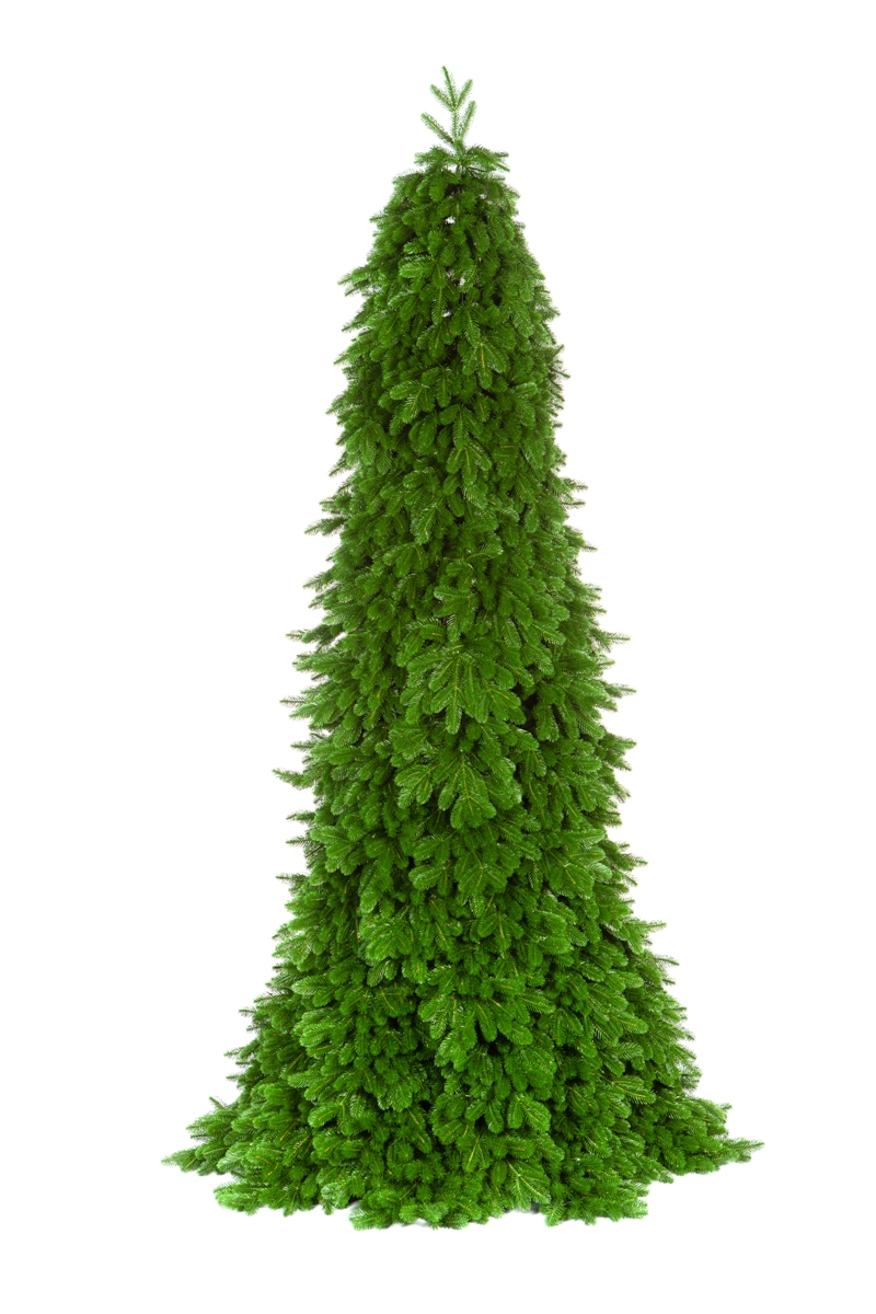 Елка Crystal Trees Паулиста 250 См. - фото 1