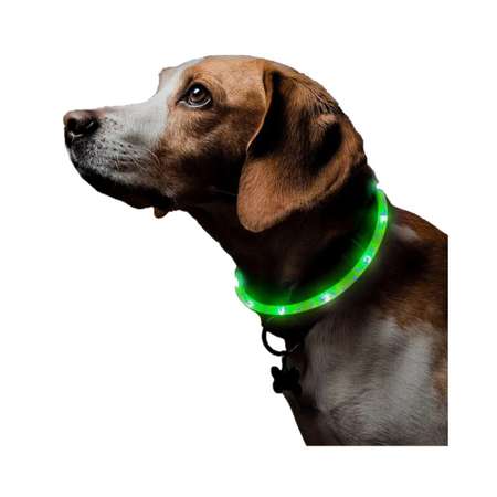 Ошейник для собак ZDK ZooWell со светодиодами зеленый 40 см