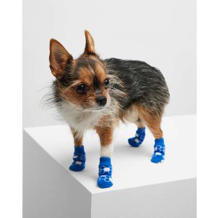 Обувь и носки для собак купить недорого в Москве