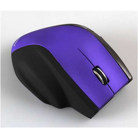 Мышь беспроводная Smartbuy SBM-613AG фиолетово-черная