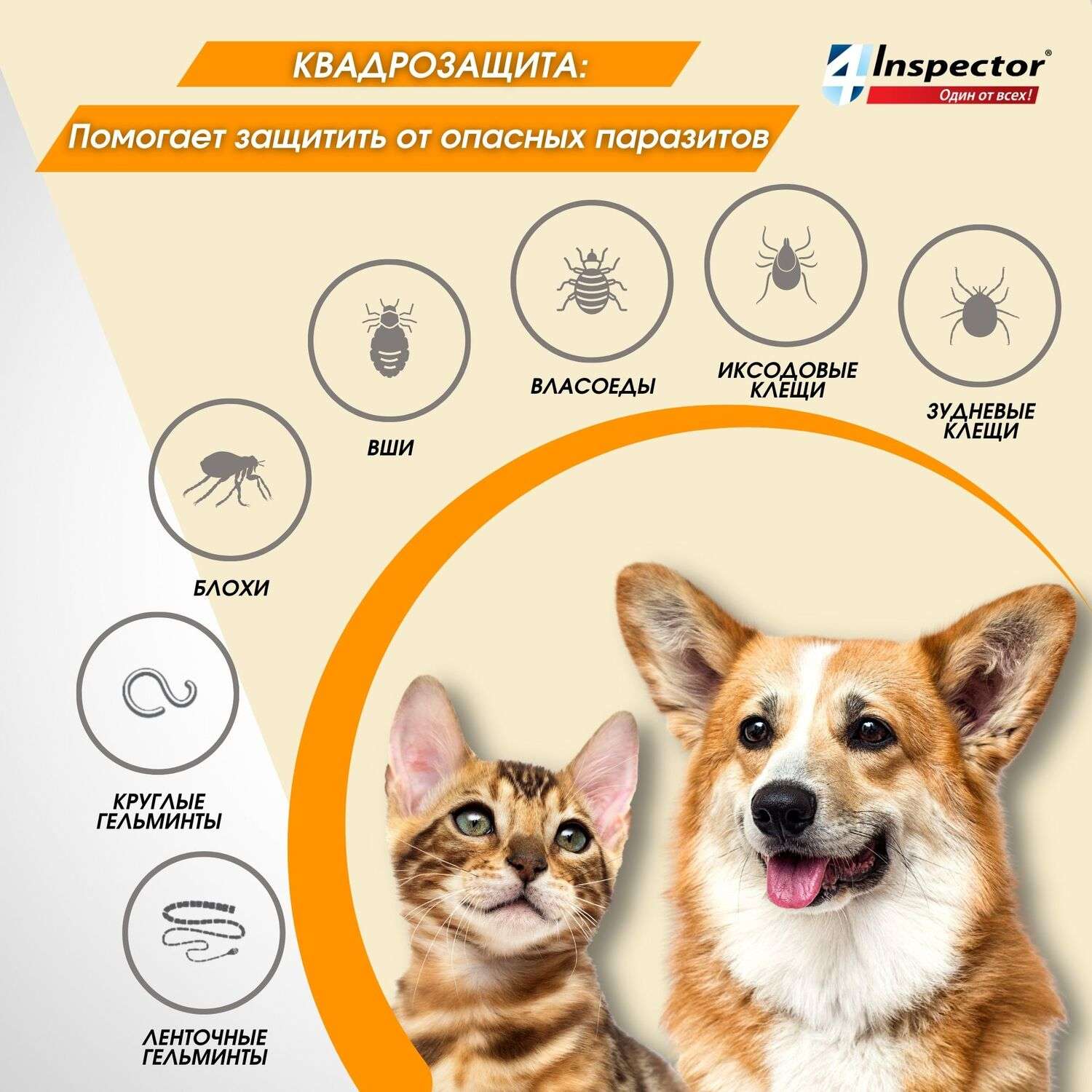 Таблетки для кошек и собак Inspector Quadro Tabs 0,5-2 кг - фото 4