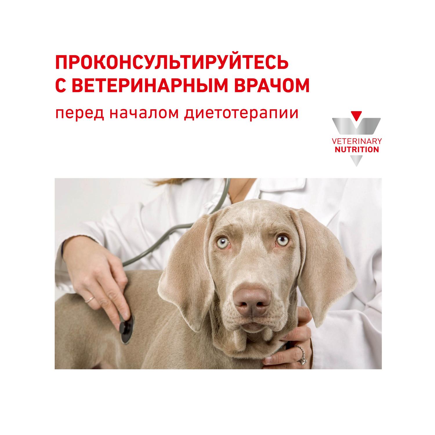 Сухой корм для собак ROYAL CANIN Hepatic 1.5 кг (при заболеваниях печени, лечебный) - фото 7