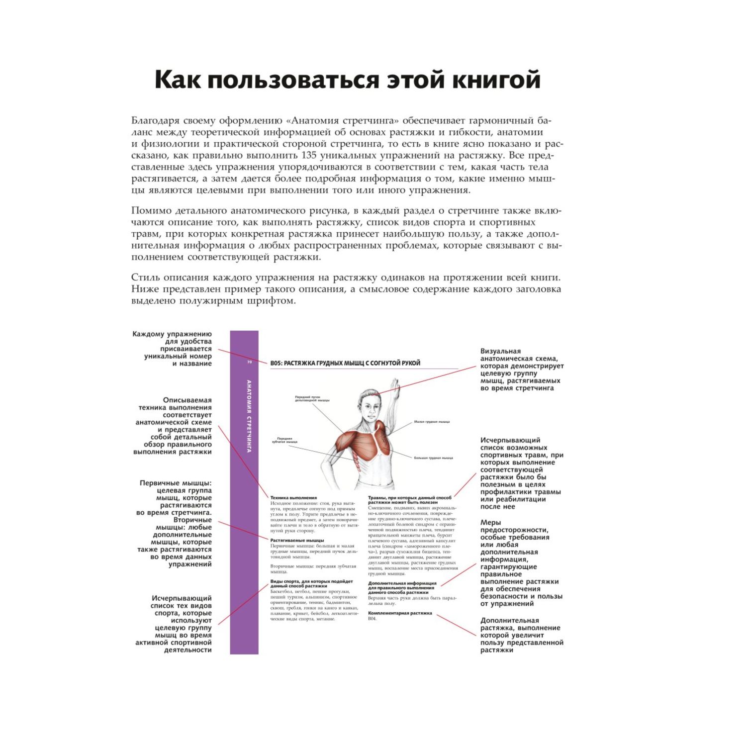 Книга Эксмо Анатомия стретчинга Большая иллюстрированная энциклопедия - фото 6