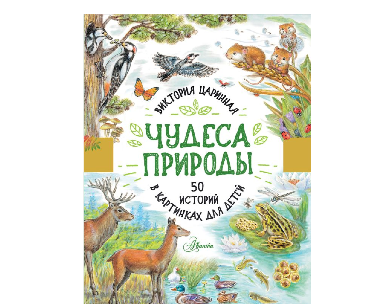 Книга АСТ Чудеса природы. 50 историй в картинках для детей