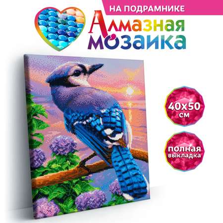 Алмазная мозаика Kiki Холст на подрамнике 40*50 полная выкладка Рассвет