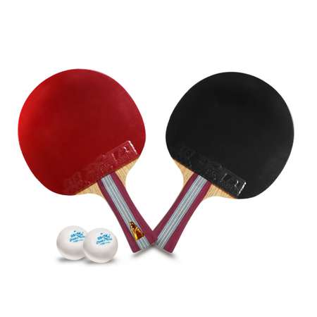 Набор для настольного тенниса Double Fish 1А+С ракетка и 2 мяча
