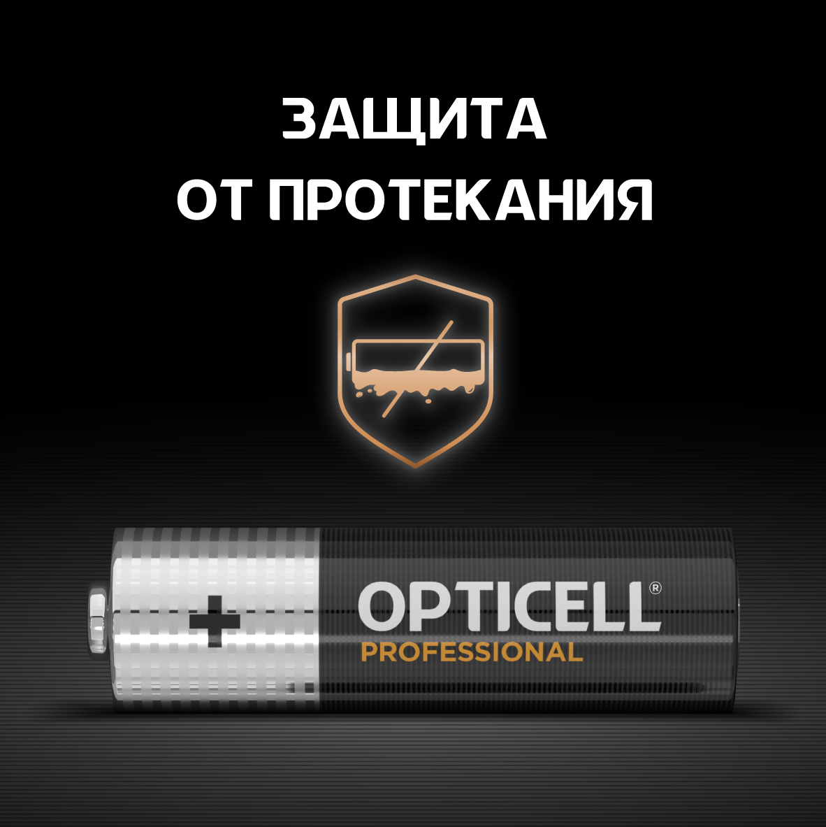 Батарейки Opticell Professional AA 4шт - фото 3