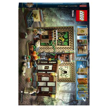 Конструктор LEGO Harry Potter Учёба в Хогвартсе Урок травологии 76384