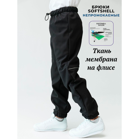 Брюки Lemonwear