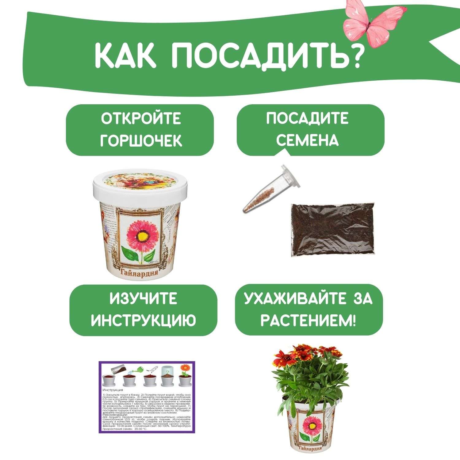 Набор для выращивания растений Rostok Visa Вырасти сам цветок Гайлардия в подарочном горшке - фото 4