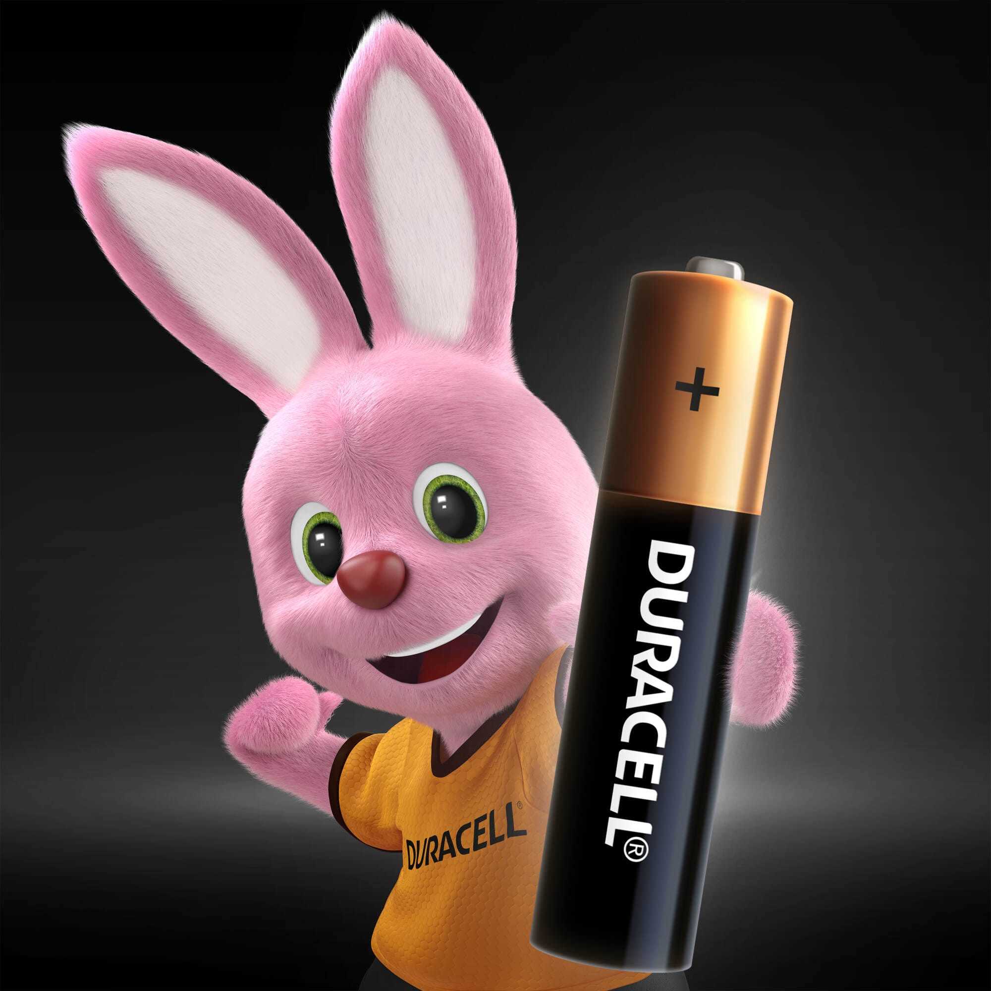 Батарейки Duracell Basic ААA/LR03 4шт