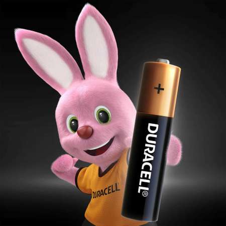 Батарейки Duracell Basic ААA/LR03 4шт