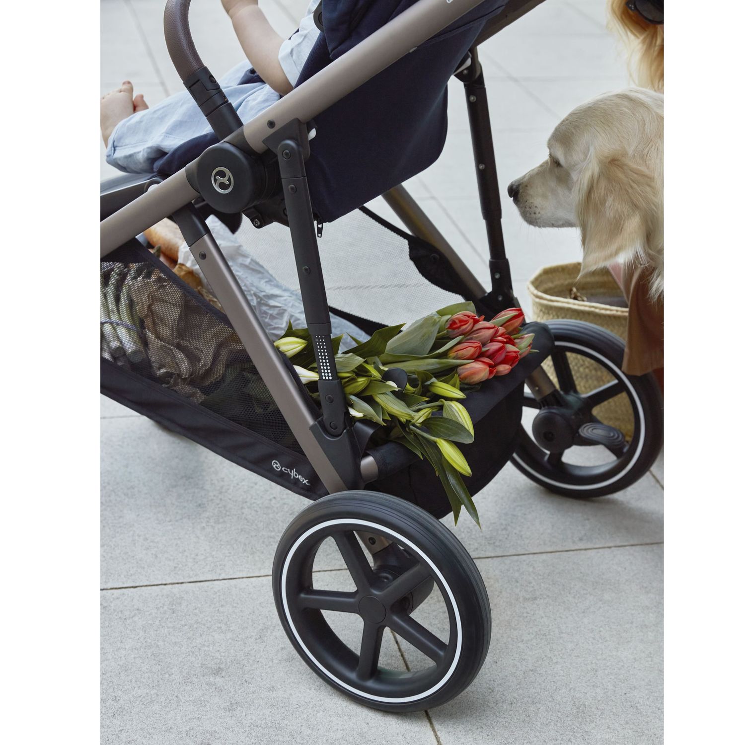 Коляска Cybex Gazelle S TPE с корзиной и дождевиком Deep Black - фото 16