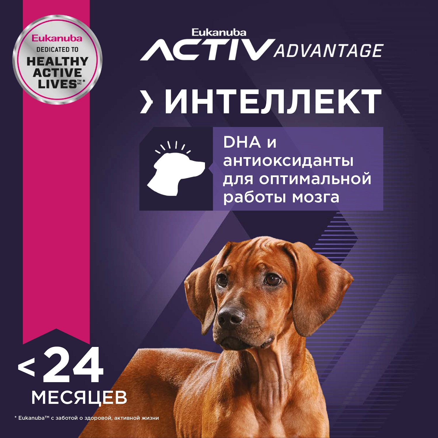 Корм Eukanuba Dog 15кг крупных пород сухой с птицей - фото 5