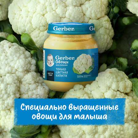 Пюре Gerber Цветная Капуста 125г с 0месяцев