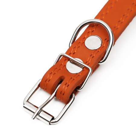 Ошейник Пижон кожаный «Строгий шип» 56 х 2.5 см ОШ 35-45 см оранжевый