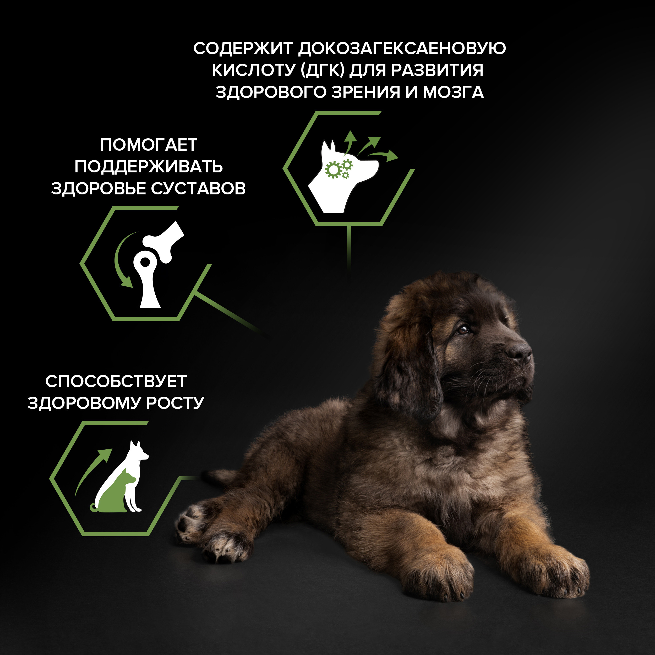 Корм для щенков PRO PLAN крупных пород с мощным телосложением с комплексом Optistart курица с рисом 12кг - фото 5