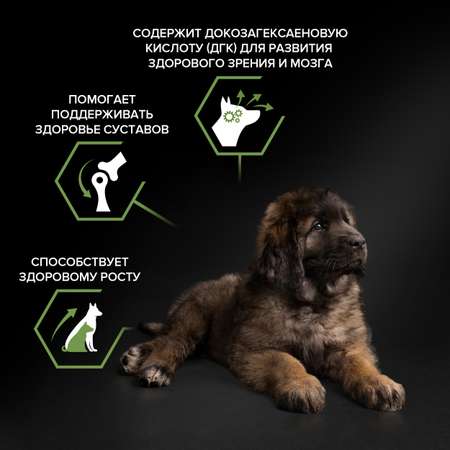 Корм для щенков PRO PLAN крупных пород с мощным телосложением с комплексом Optistart курица с рисом 12кг