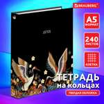 Тетрадь на кольцах Brauberg со сменным блоком для учебы А5 240 листов