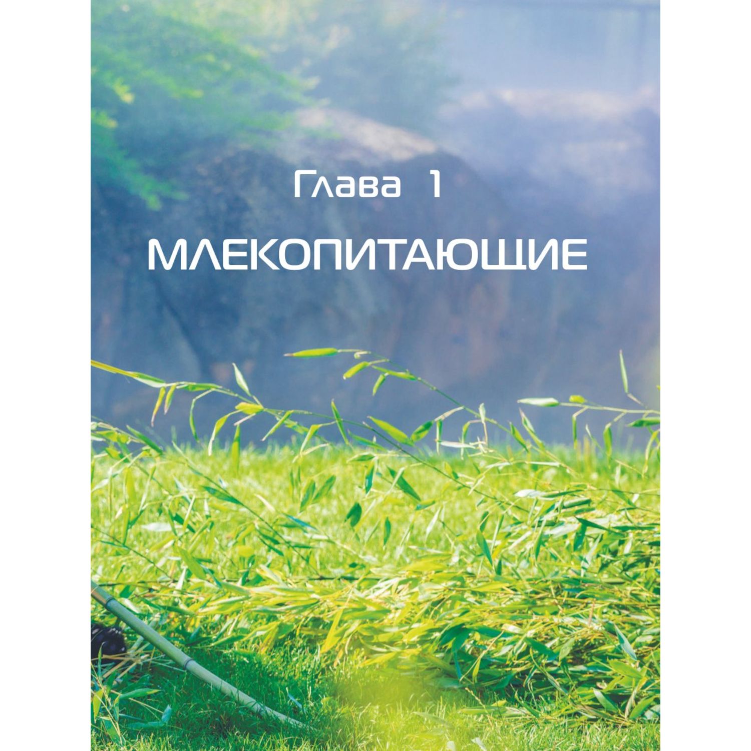 Книга Животные Большая детская энциклопедия - фото 5