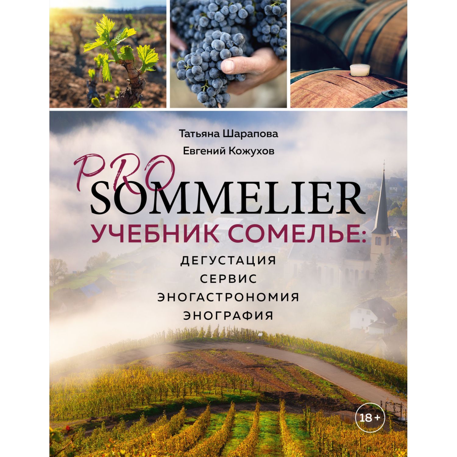 Книга ЭКСМО-ПРЕСС Pro sommelier. Учебник сомелье: дегустация сервис эногастромия энография - фото 3