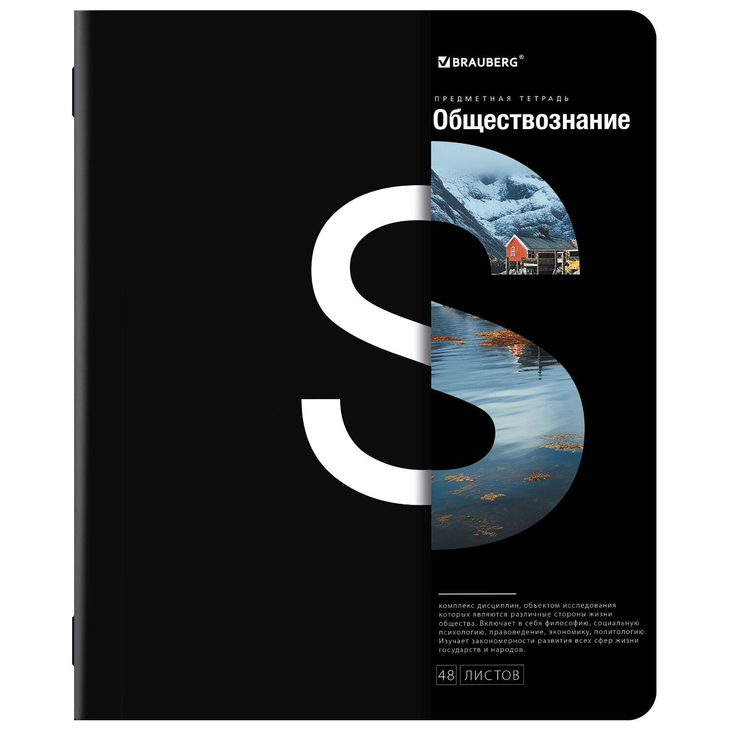 Тетради предметные Brauberg набор 48 листов в клетку и линейку 12 штук - фото 20