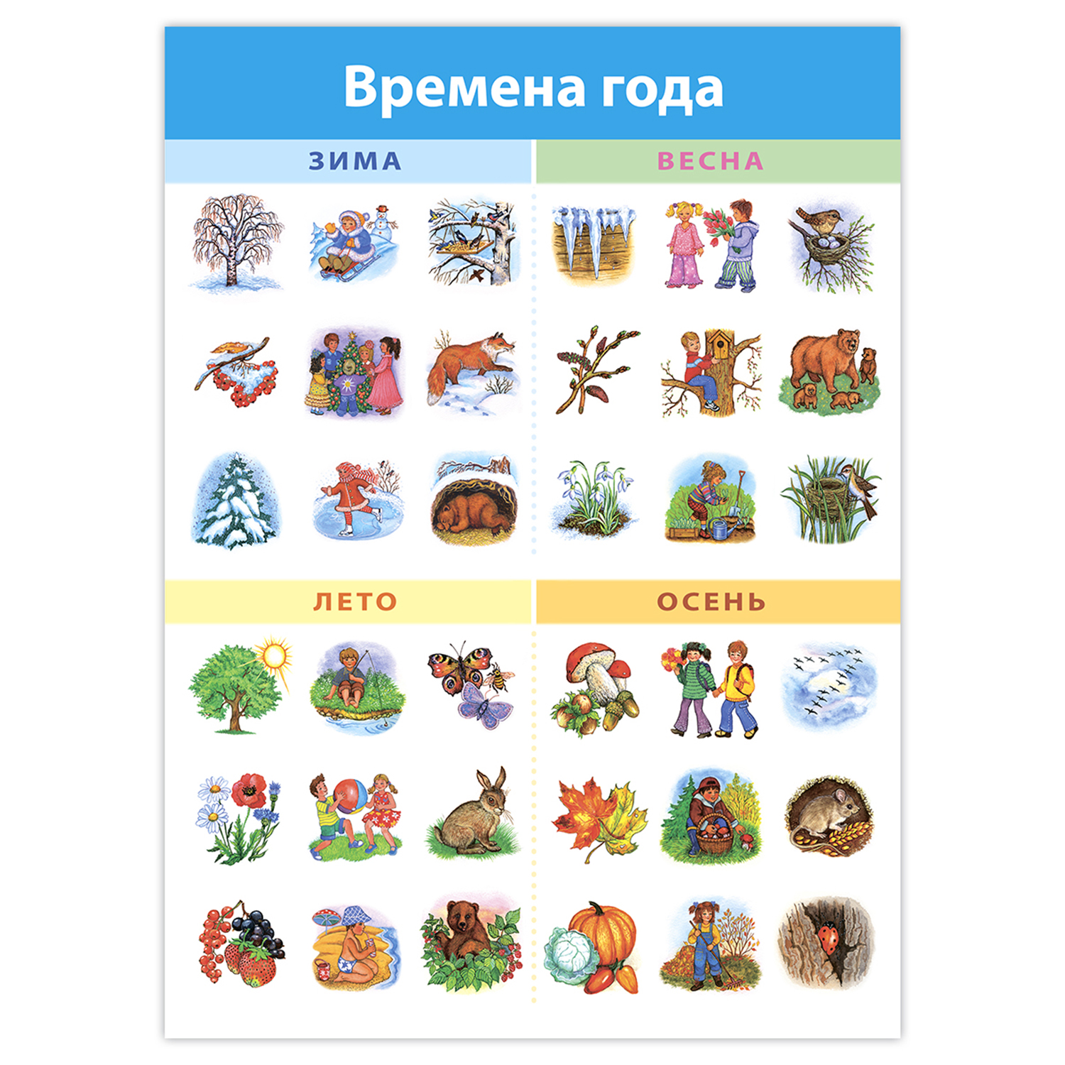 Набор обучающих плакатов Дрофа-Медиа Окружающий мир 1-4 класс 4018 - фото 2