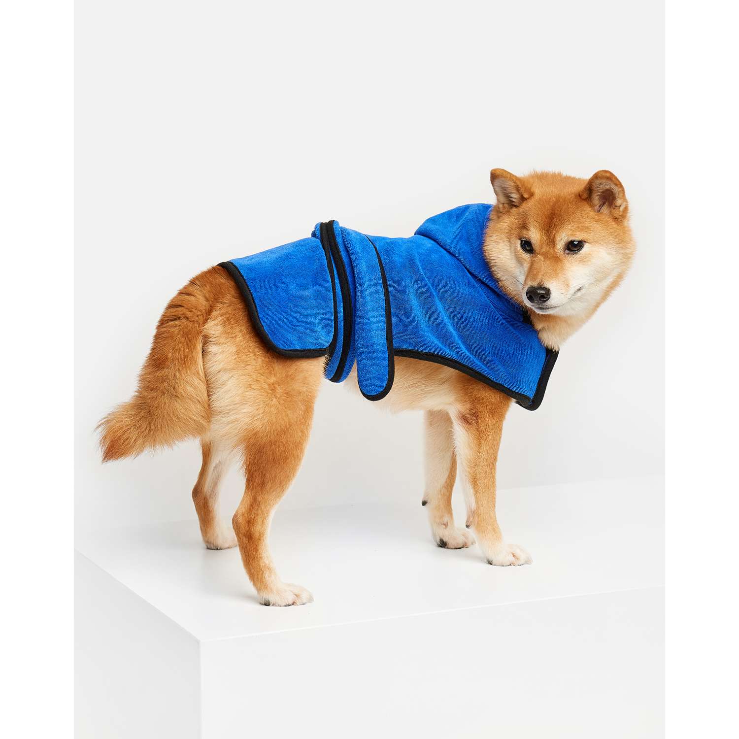 Полотенце-халат для собак Zoozavr 30см Синий - фото 7