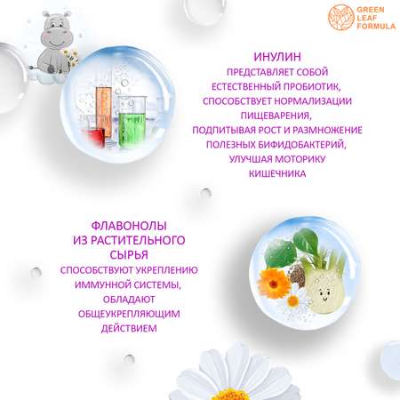 Детский сироп для кишечника Green Leaf Formula для детей от 3 лет пребиотик инулин 2 шт по 100 мл