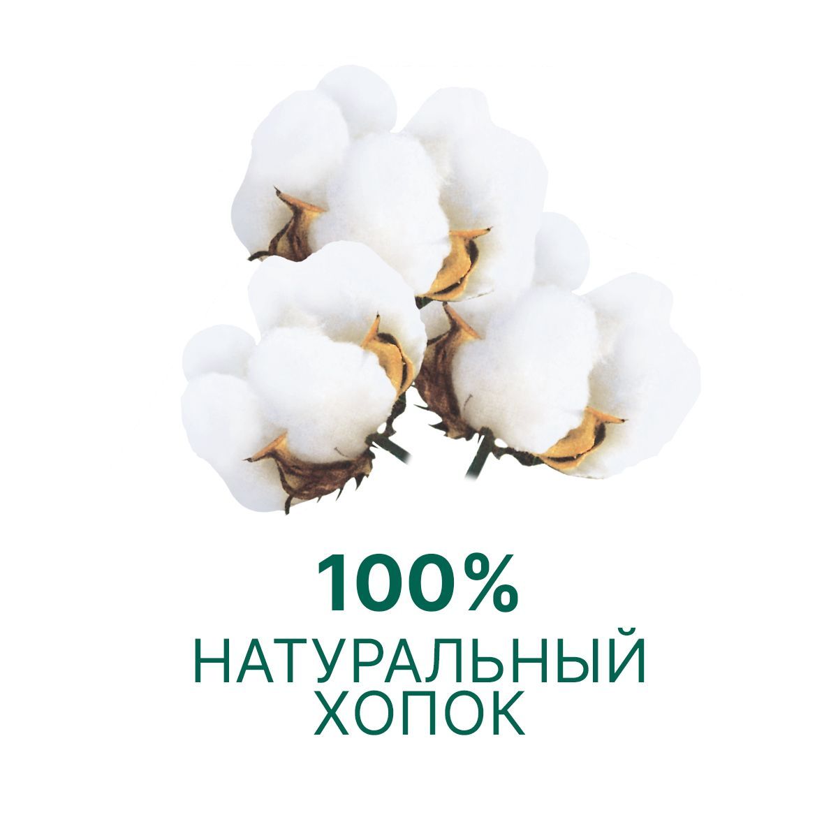 Тампоны гигиенические Ola! Silk Sense из органического хлопка Нормал 8 шт - фото 2